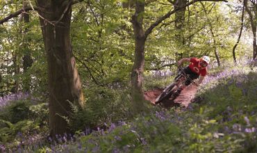 Local Trails - Live To Ride